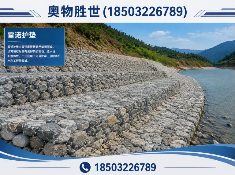 鞍山雷诺护垫展示图